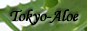 �����A���G