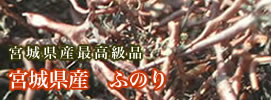 �{�錧�Y�@�ӂ̂�