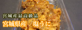 �{�錧�Y�@������